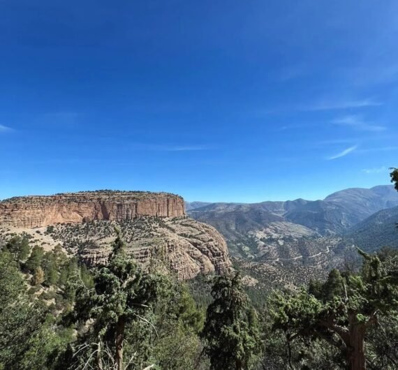 473544721_122194942754138312_7446016671416854920_n