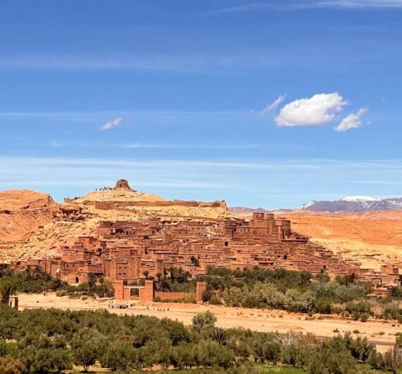 473560035_122195103158138312_5530927702114491472_n