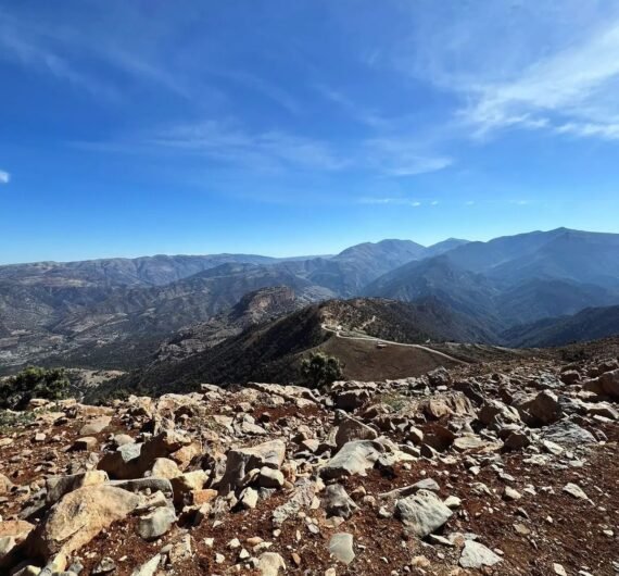 473565033_122194943078138312_8566985845139767986_n