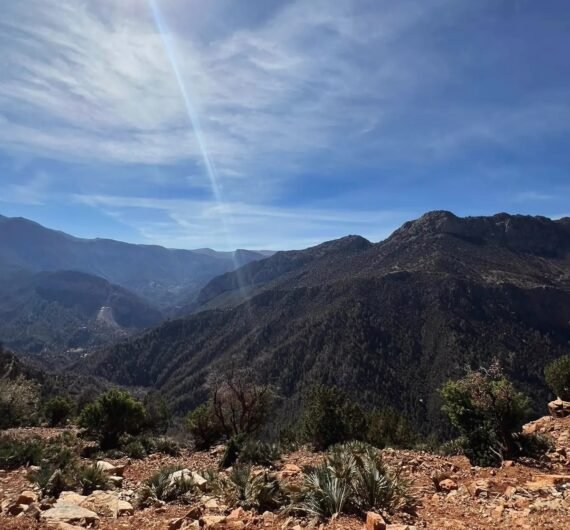 473570339_122194942718138312_2865230037920149907_n